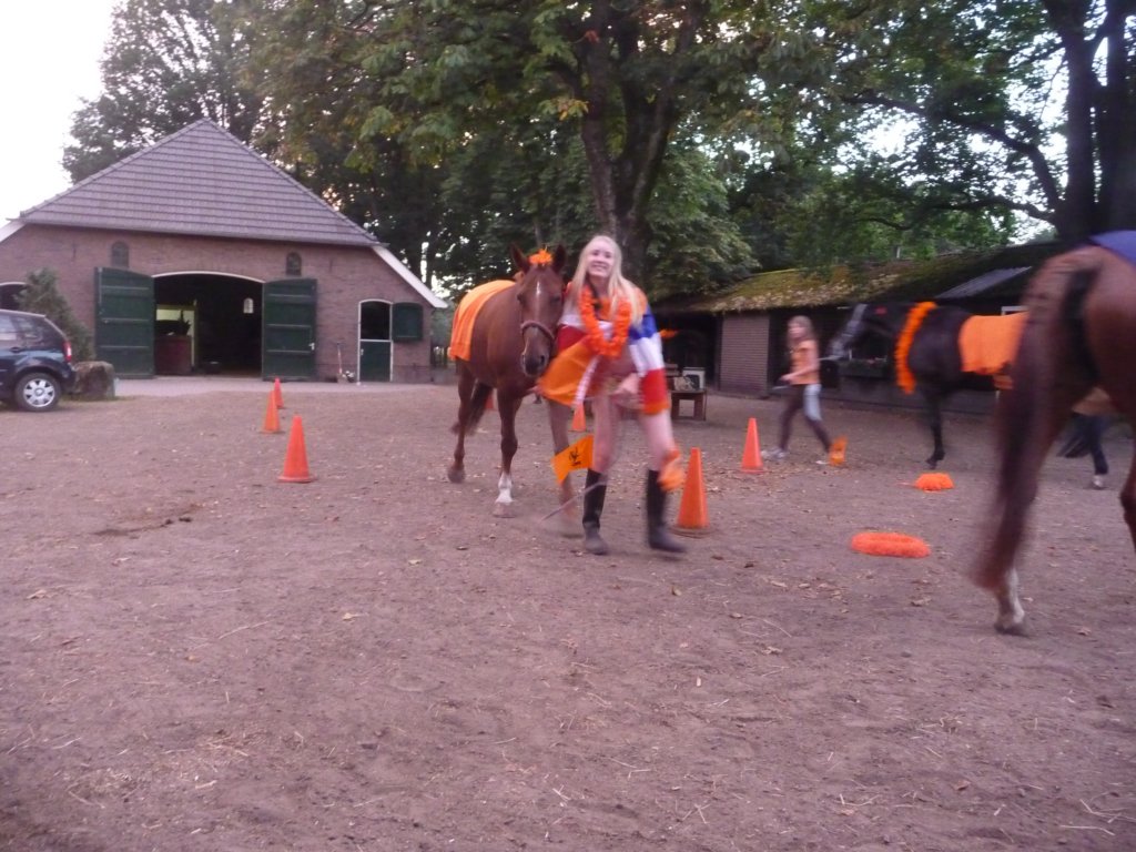 p1050996.jpg