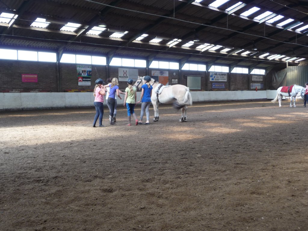 p1060381.jpg