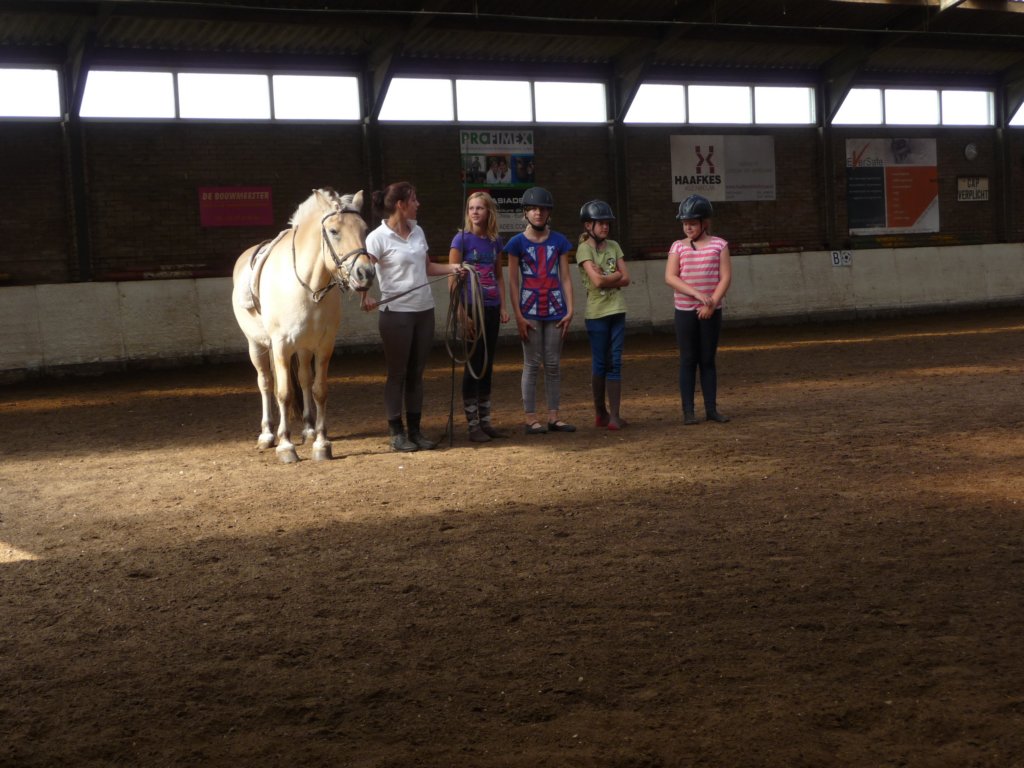 p1060383.jpg