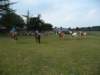 p1060438_small.jpg