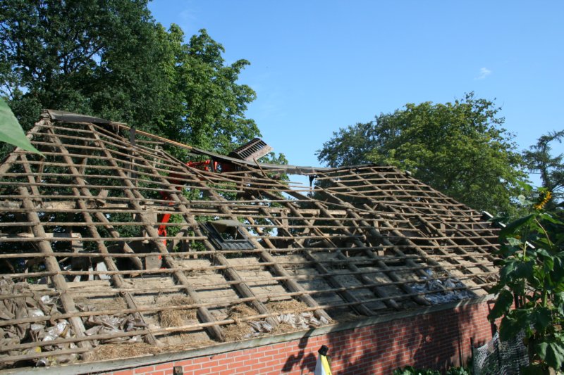 desloop6augustus25.jpg