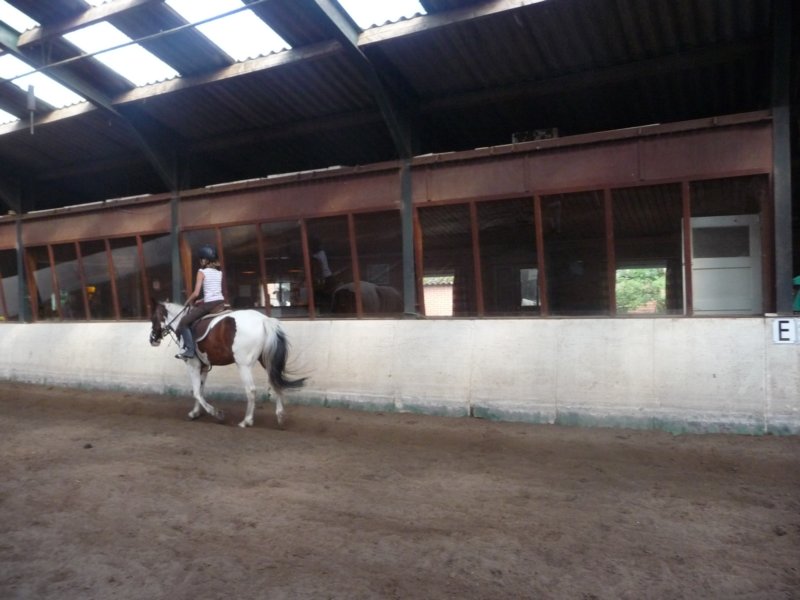 p1010183.jpg