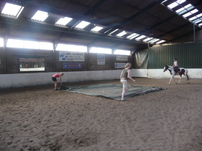 p1010185.jpg