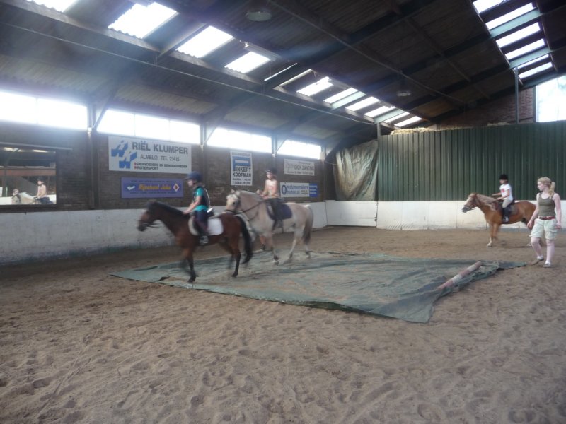 p1010187.jpg
