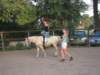 dscn2635_small.jpg