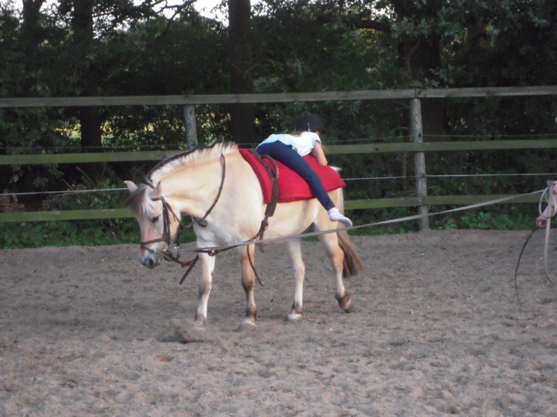 dscn2637.jpg