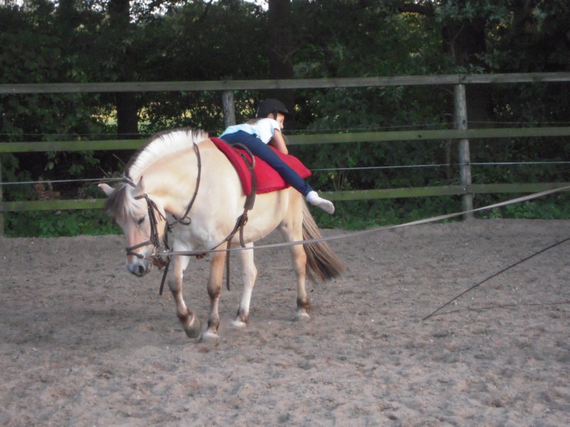 dscn2638.jpg