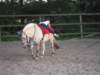 dscn2638_small.jpg