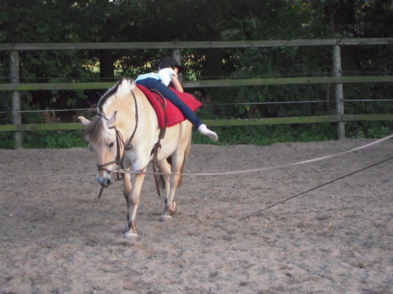 dscn2639.jpg