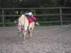 dscn2639_small.jpg