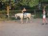 dscn2640_small.jpg