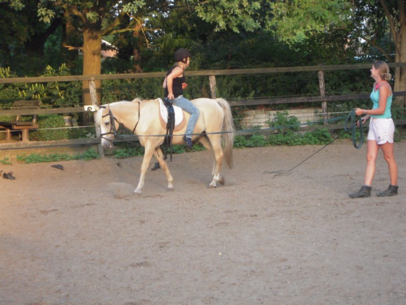 dscn2641.jpg