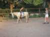 dscn2641_small.jpg