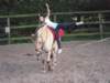 dscn2642_small.jpg