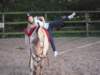 dscn2644_small.jpg