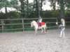 dscn2645_small.jpg