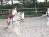 dscn2648_small.jpg