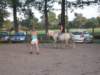 dscn2649_small.jpg