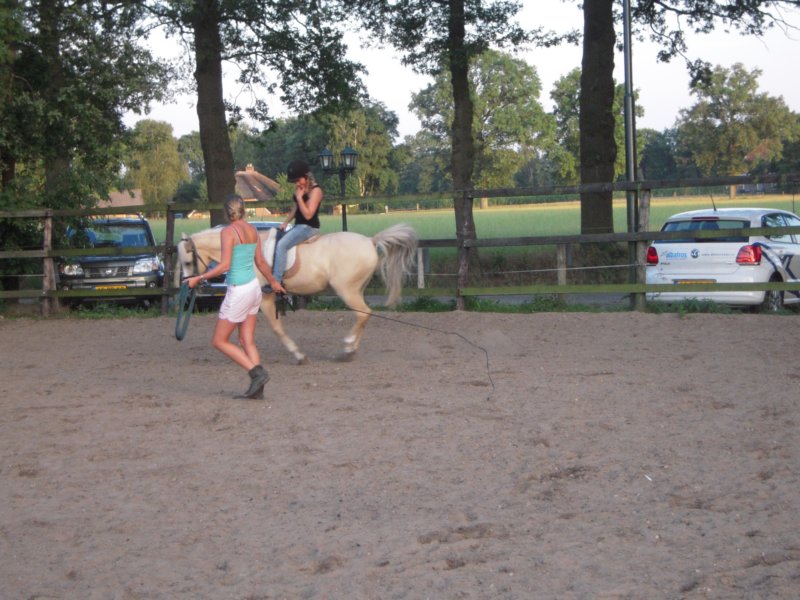 dscn2650.jpg