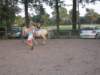 dscn2650_small.jpg