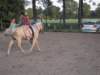 dscn2651_small.jpg