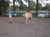 dscn2652_small.jpg