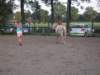 dscn2654_small.jpg