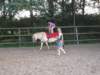 dscn2655_small.jpg