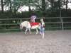 dscn2656_small.jpg