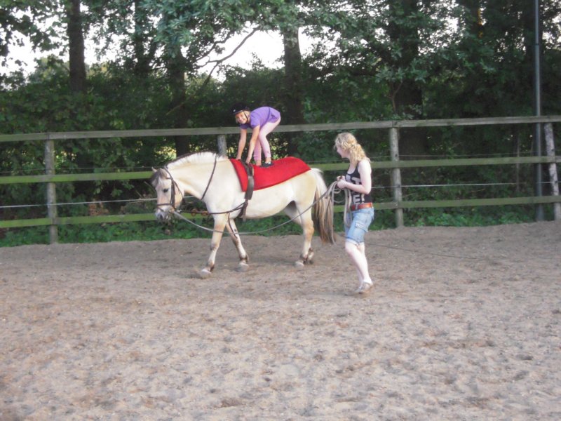 dscn2657.jpg