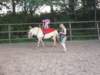 dscn2657_small.jpg