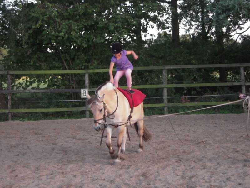 dscn2658.jpg