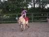 dscn2658_small.jpg