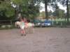 dscn2660_small.jpg