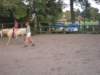 dscn2661_small.jpg