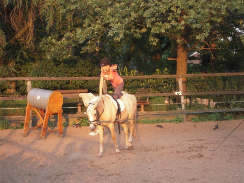 dscn2667.jpg
