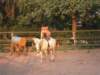 dscn2667_small.jpg