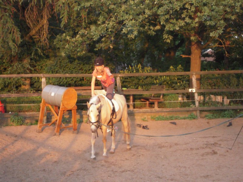 dscn2668.jpg