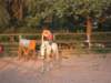dscn2668_small.jpg