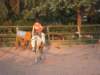 dscn2669_small.jpg