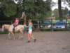 dscn2672_small.jpg