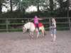dscn2681_small.jpg