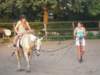 dscn2686_small.jpg