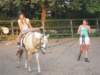 dscn2687_small.jpg