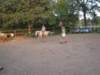 dscn2688_small.jpg