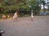 dscn2689_small.jpg