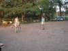 dscn2690_small.jpg