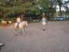 dscn2691_small.jpg