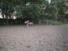 dscn2708_small.jpg