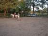 dscn2712_small.jpg